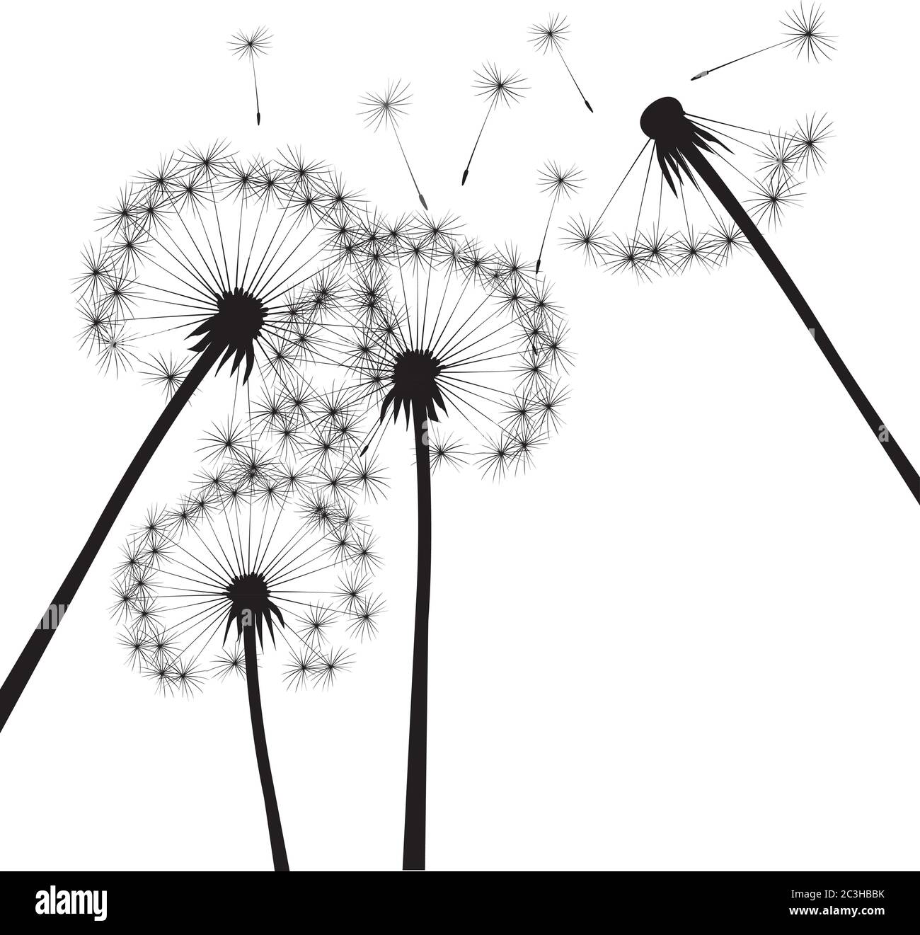 Black dandelion on white background. Vector Illustration. Stock Vector