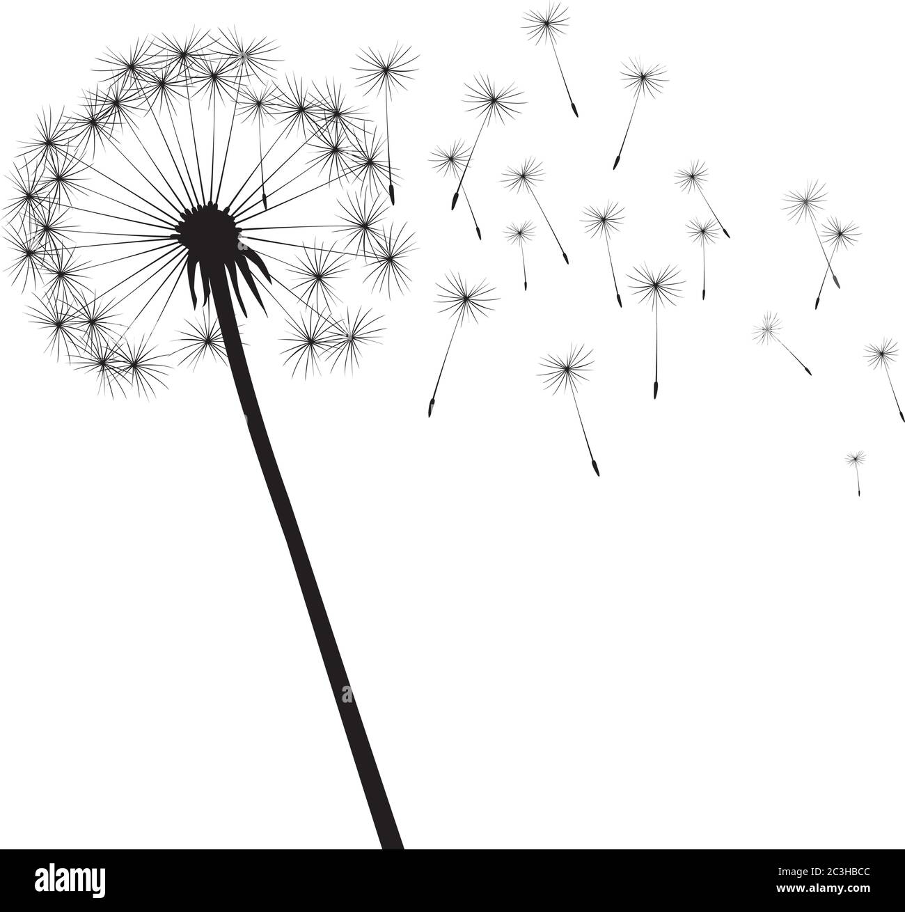 Black dandelion on white background. Vector Illustration. Stock Vector