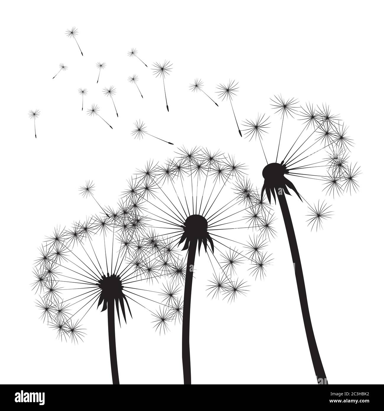 Dandelion composition. Vector Illustration. EPS file. Stock Vector