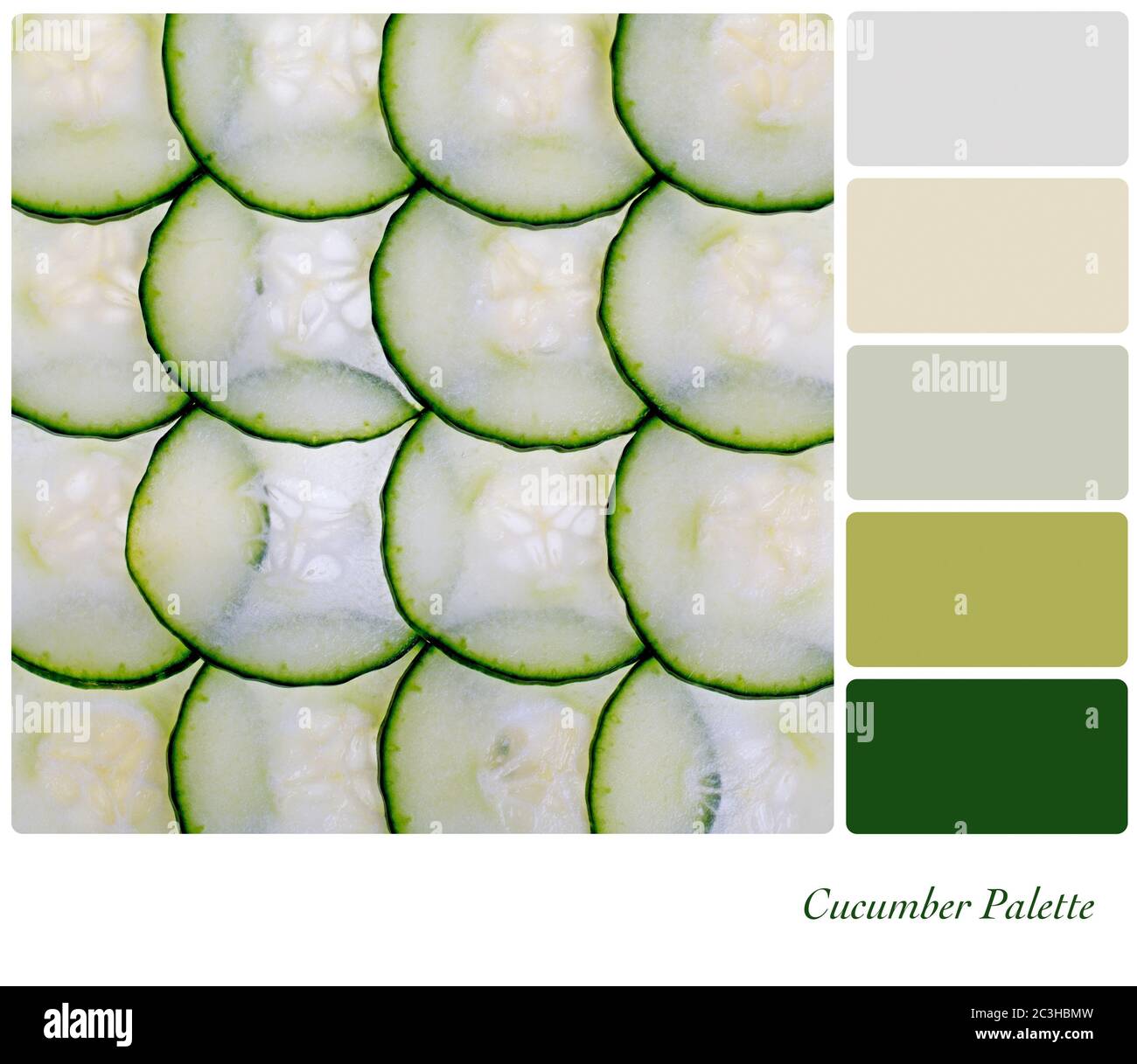 A closeup of a sliced cucumber in a colour palette with complimentary ...