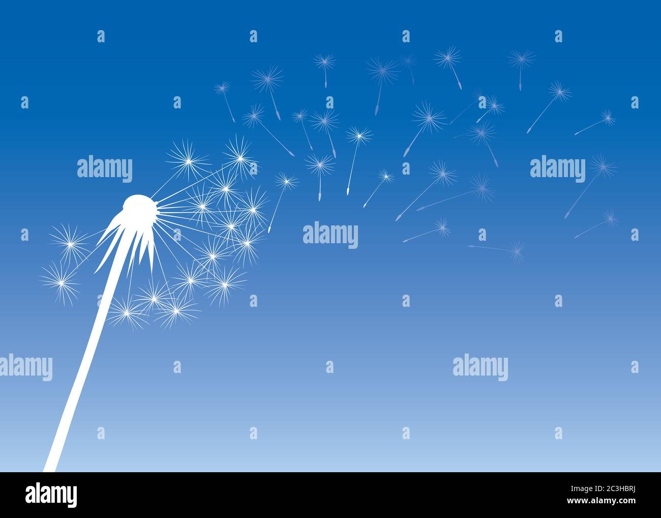 Dandelion on colour background. Vector illustration. EPS file. Stock Vector