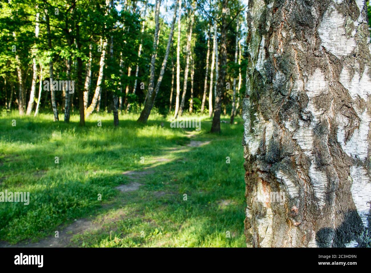 Sunny summer morning outside hi-res stock photography and images - Alamy