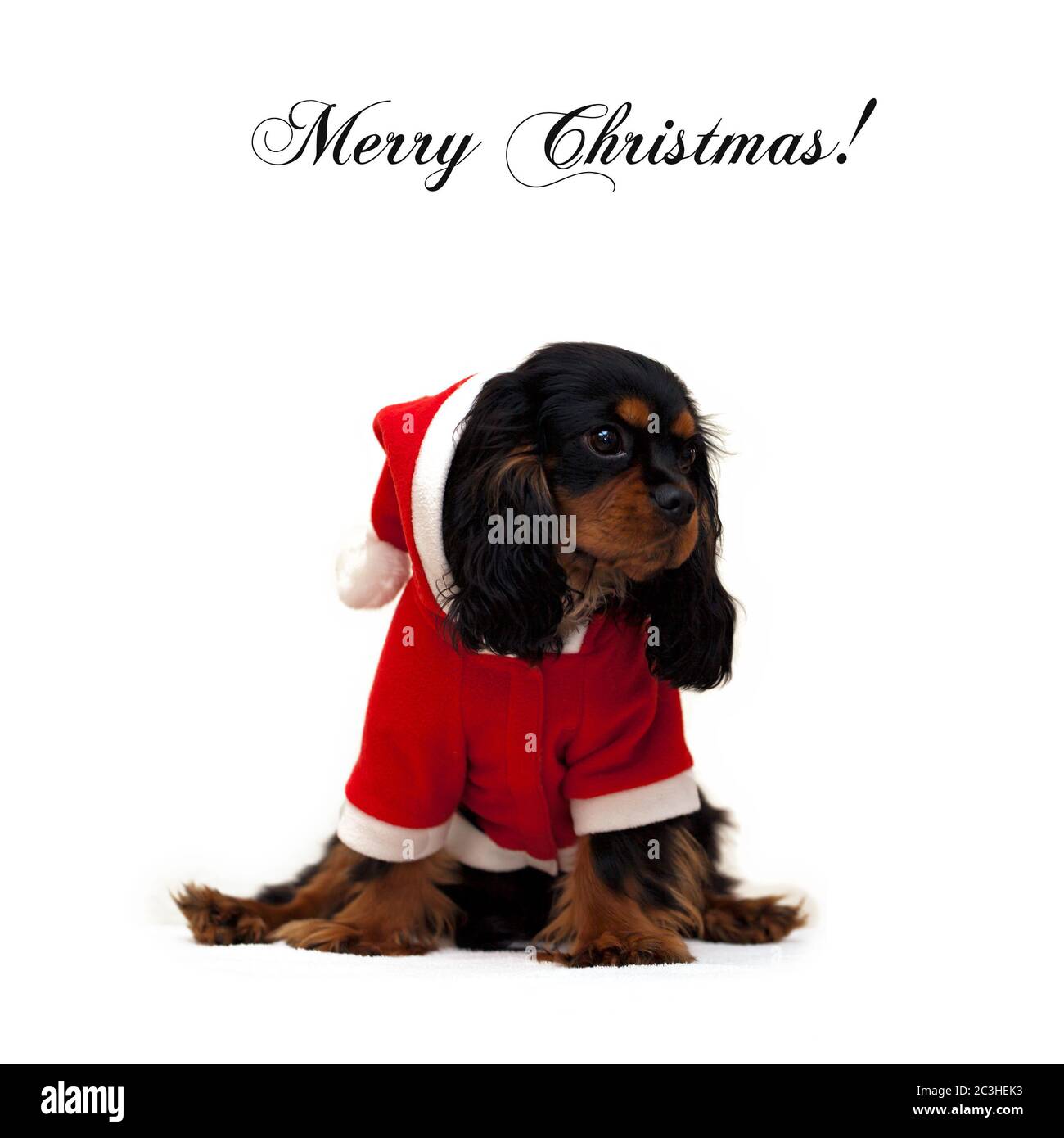 Merry Christmas wishes Stock Photo 