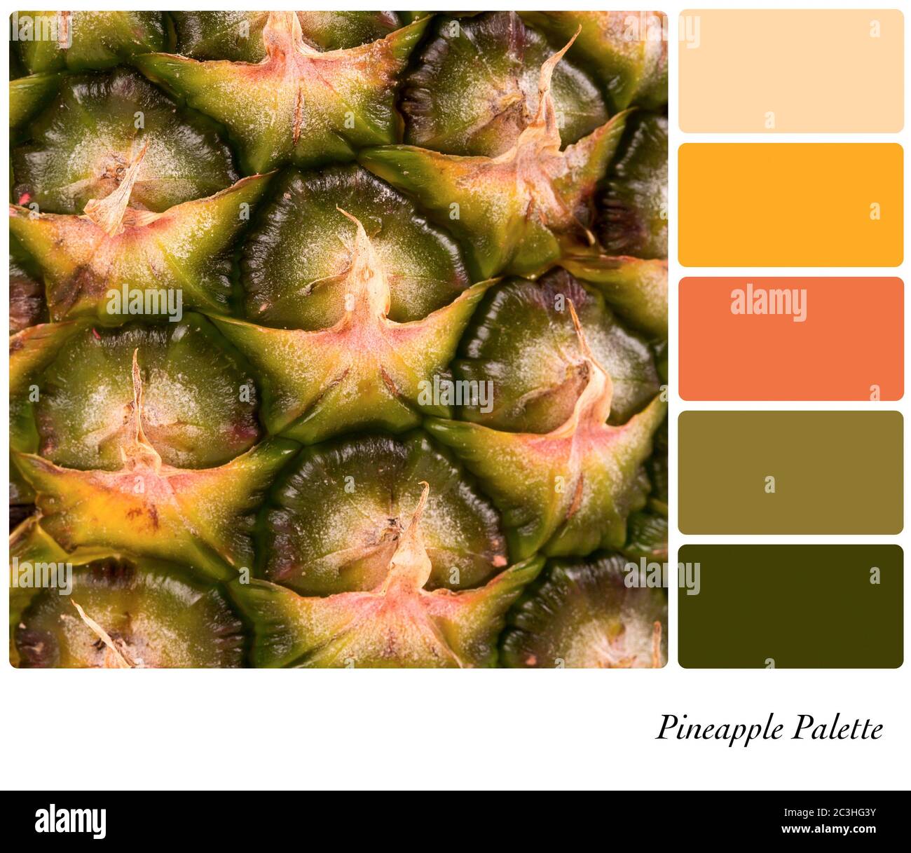 Skin tone chart hi-res stock photography and images - Alamy