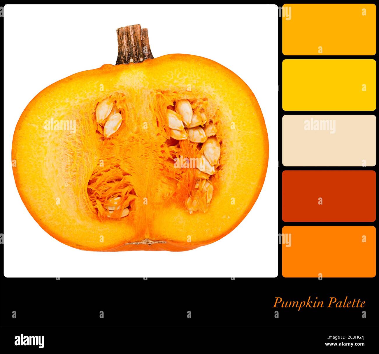 Pumpkin isolated on white background. Colour palette with complimentary ...