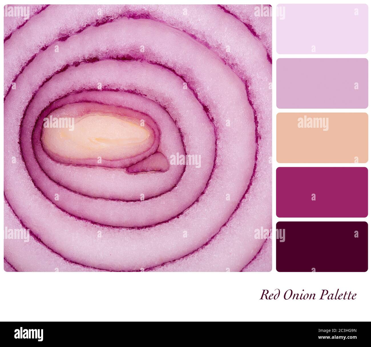sliced red onion in a colour palette ...
