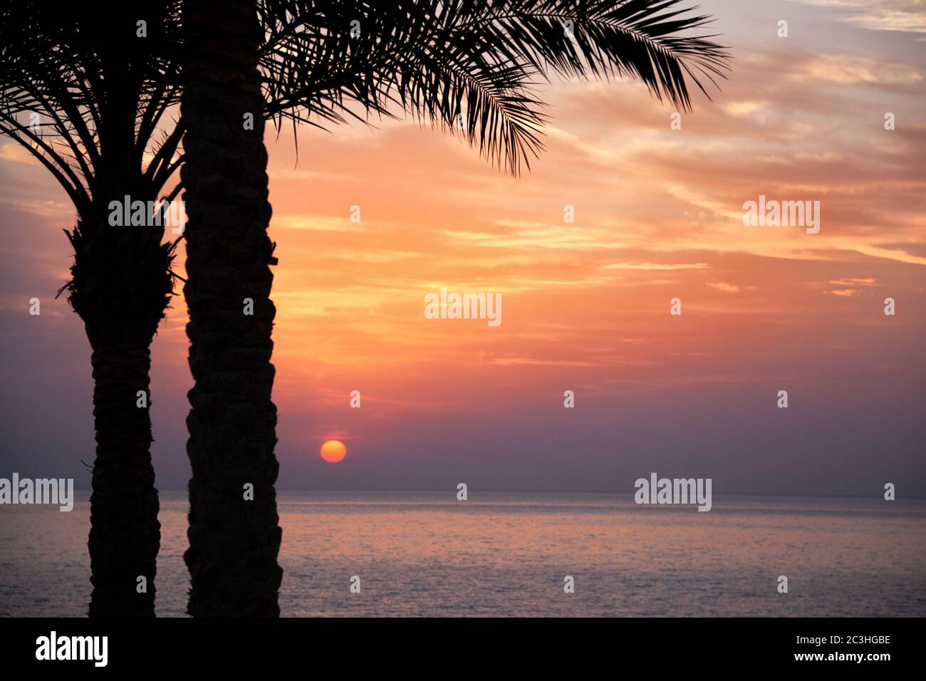 Sunrise over the Red Sea with palm trees in silhouette in the ...