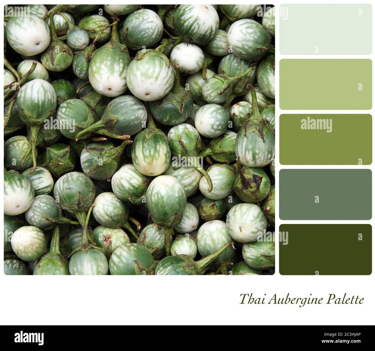 Thai Aubergines In A Colour Palette With Shades Of Green Stock Photo Alamy
