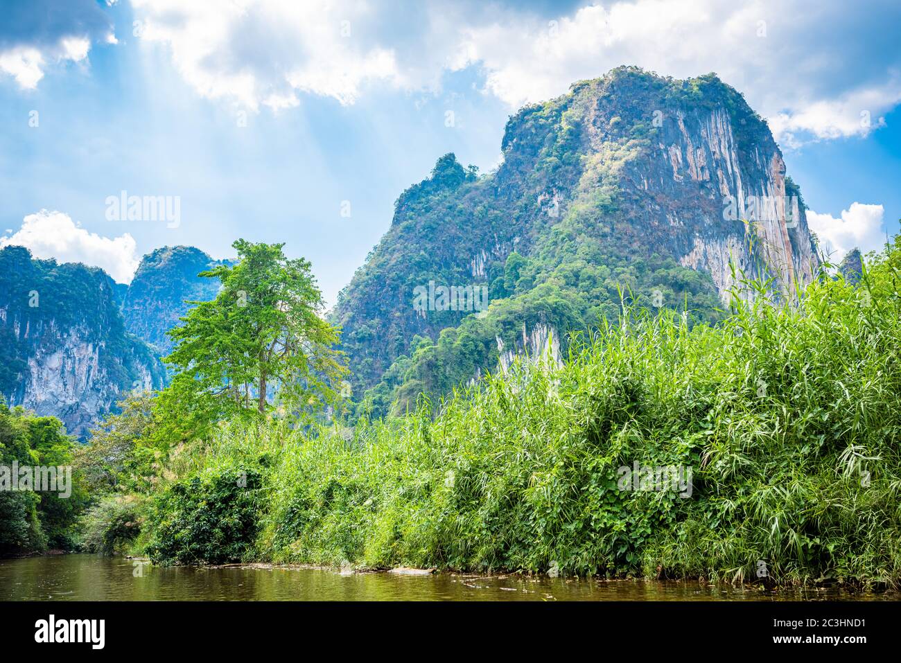 Khao Sok rainforrest, Thailand Stock Photo