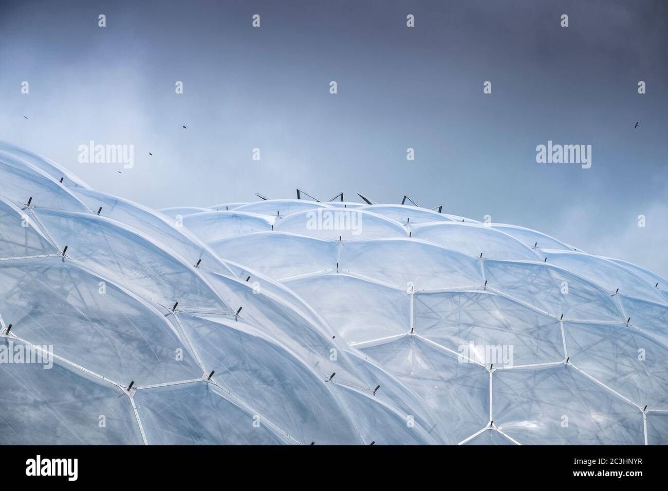 The Eden Project near St Austell in Cornwall. Stock Photo