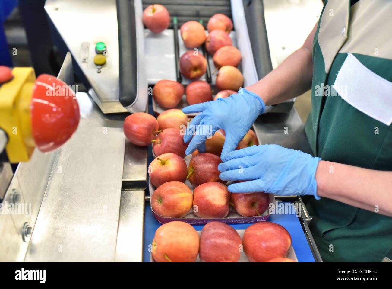 food factory: assembly line with apples and workers Stock Photo