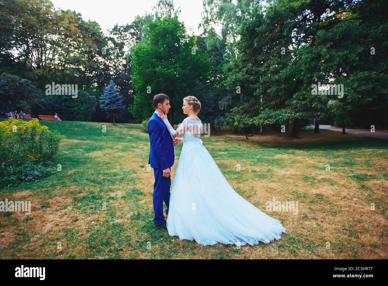 Bride and groom in the park kissing. wedding in nature green forest ...