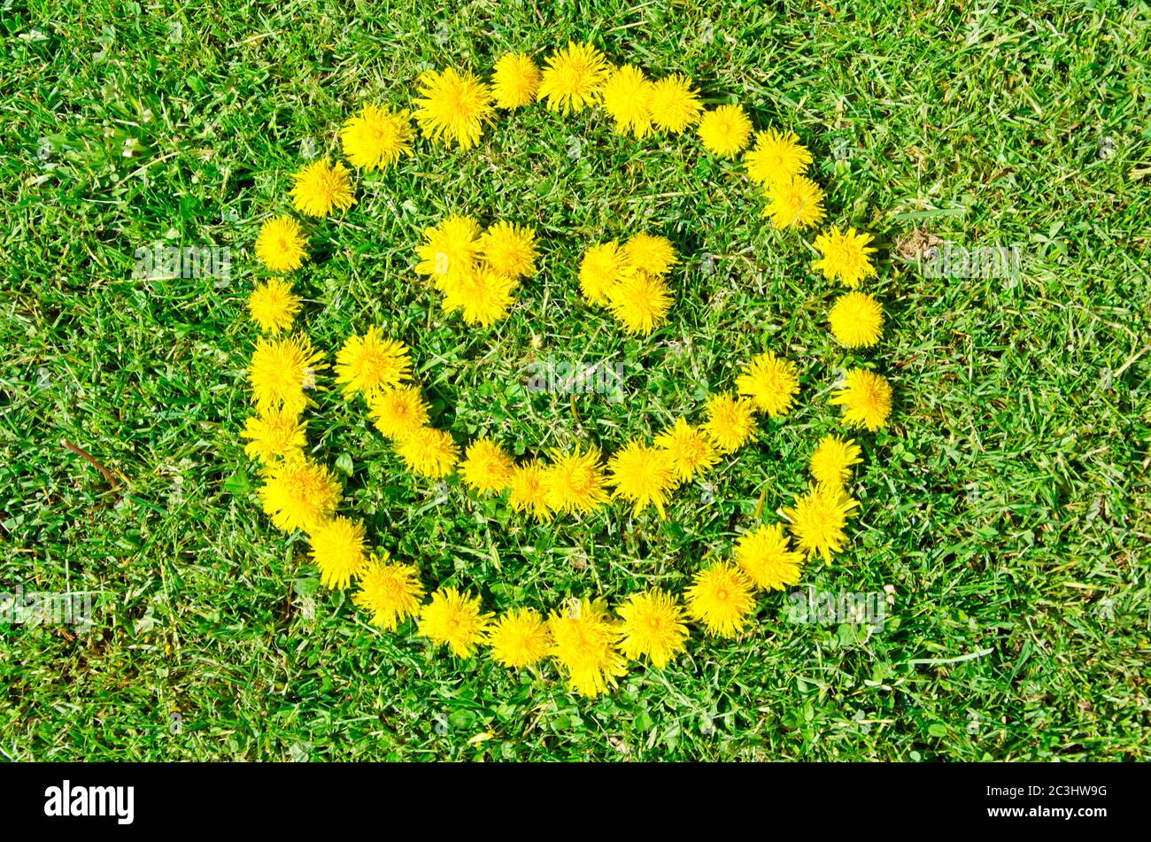 Smiling face made of dandelion flowers on grass meadow Stock Photo