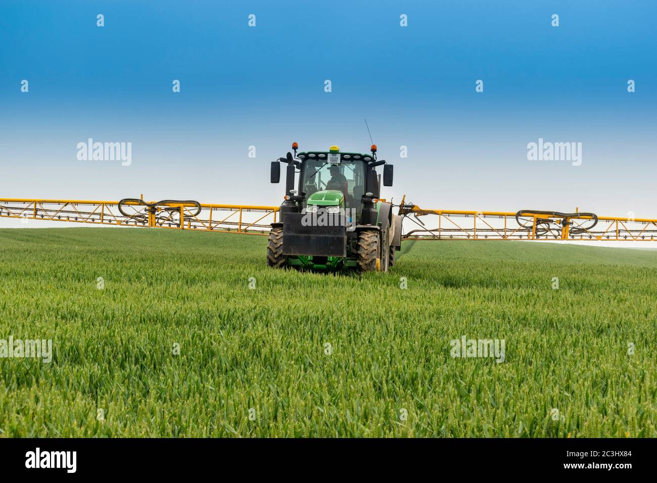 AGRICULTURE TRACTOR AND LARGE YELLOW CROP SPRAYER WITH ACTIVE SPRAY ON A LARGE FIELD OF WHEAT Stock Photo