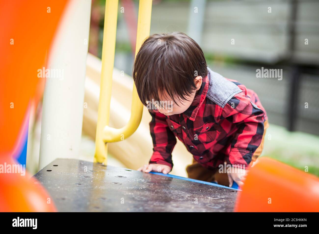 children play jungle playground in the park. Stock Photo