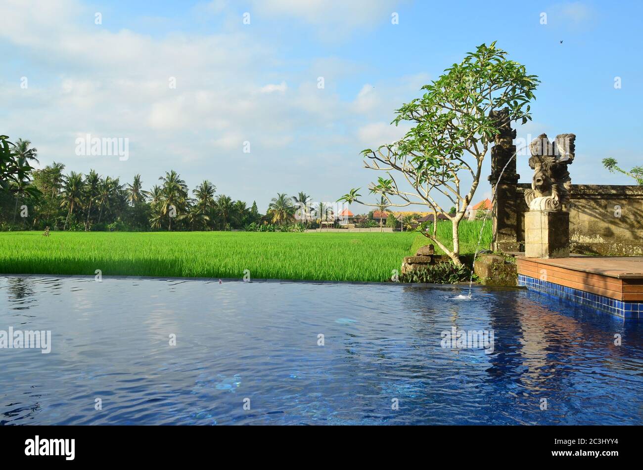 Swimming pool and bar area that facing paddy field at Bali, Indonesia ...