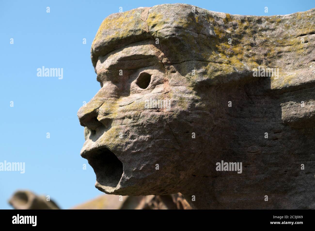 Gargoyle on the roof of Melrose Abbey in the Scottish Borders Stock Photo
