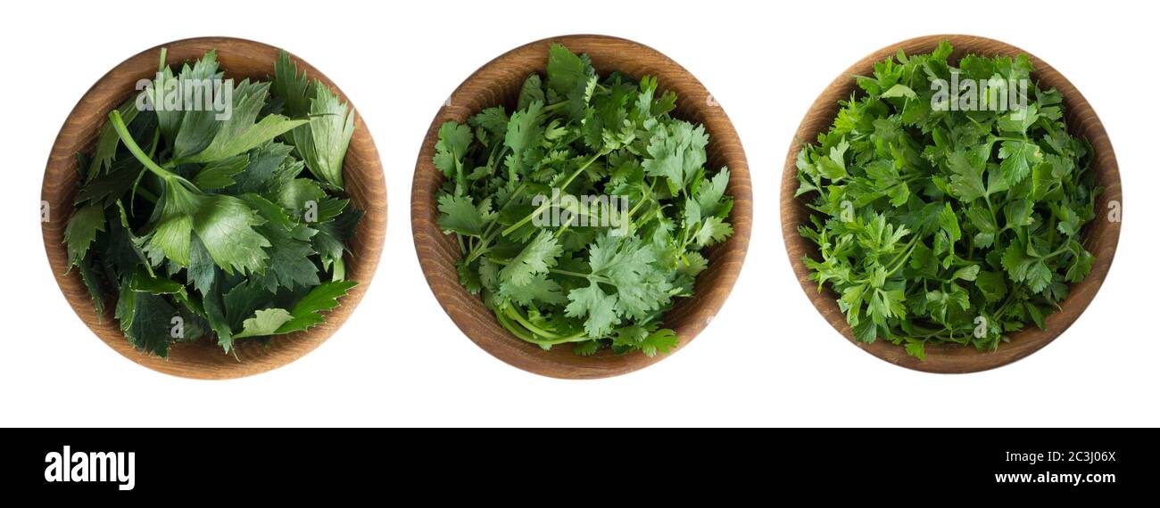 Fresh coriander, celery and cilantro leaves in wooden bowl isolated on