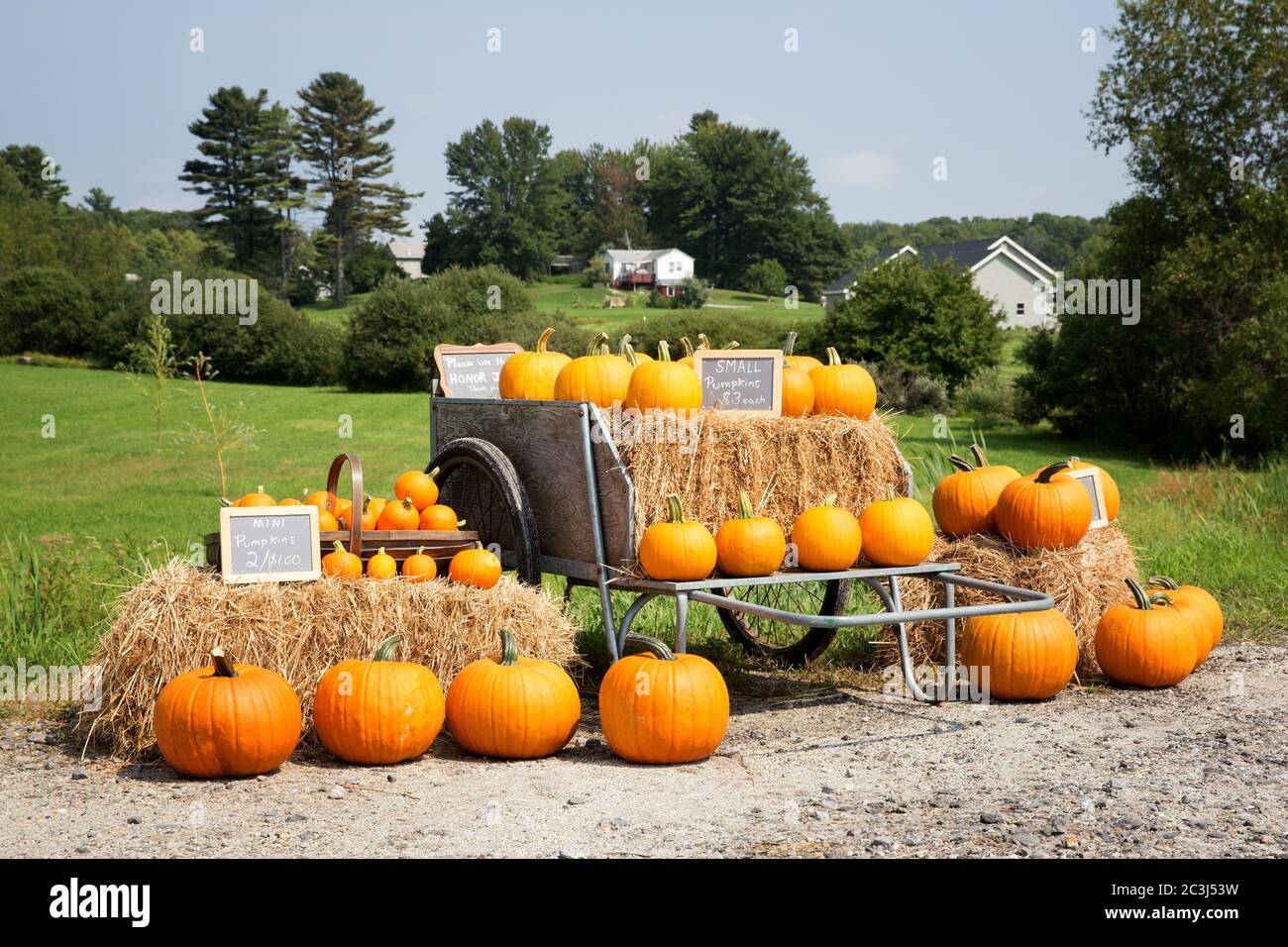 A display of pumpkins for sale at the roadside Stock Photo - Alamy