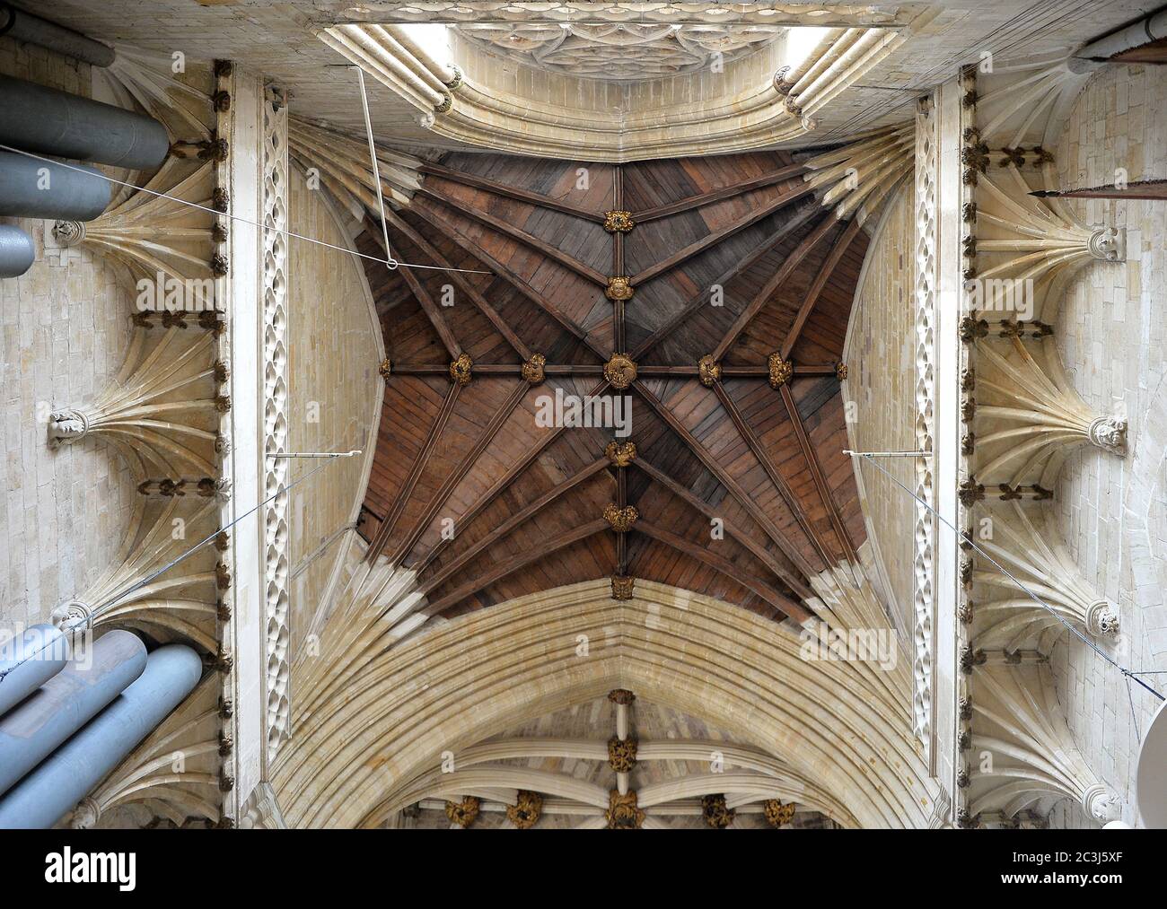 Timber vaulted ceiling - Exeter cathedral Stock Photo