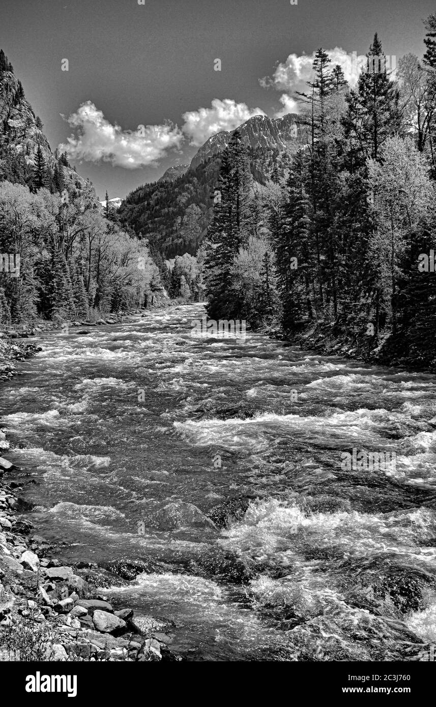 Grayscale shot of a river surrounded by mountains and a lot of trees ...