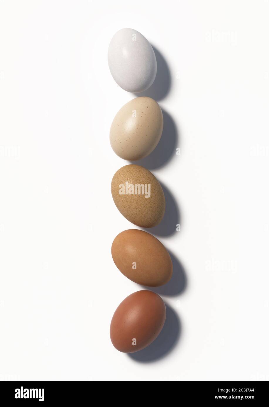 Five multi colored chicken eggs lie in a row on a white background. Top view. 3D render. Stock Photo