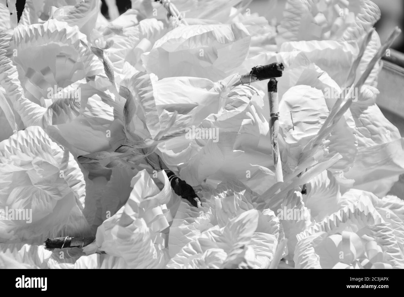 sandalwood flower for mourning dead in Thai funeral on pan with back and white tone Stock Photo