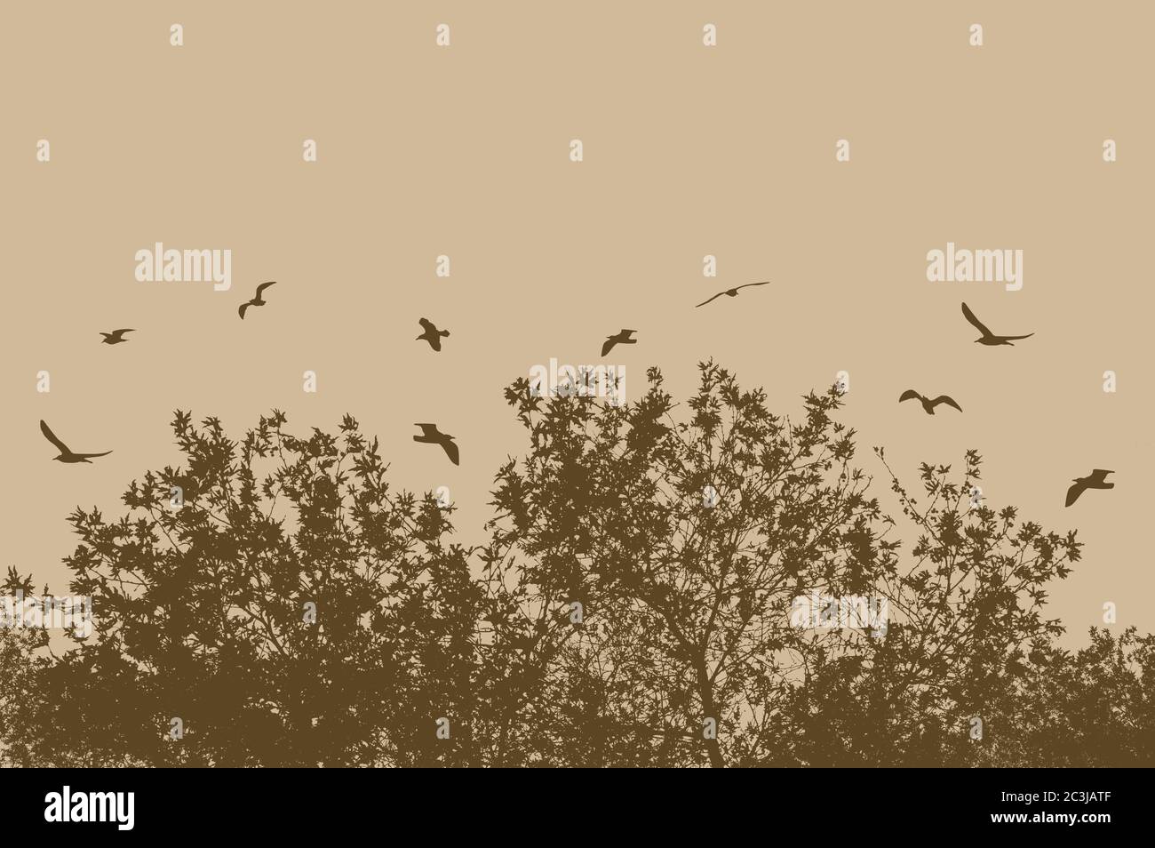 Silhouettes of tree and branches with flying birds on a beige background Stock Photo