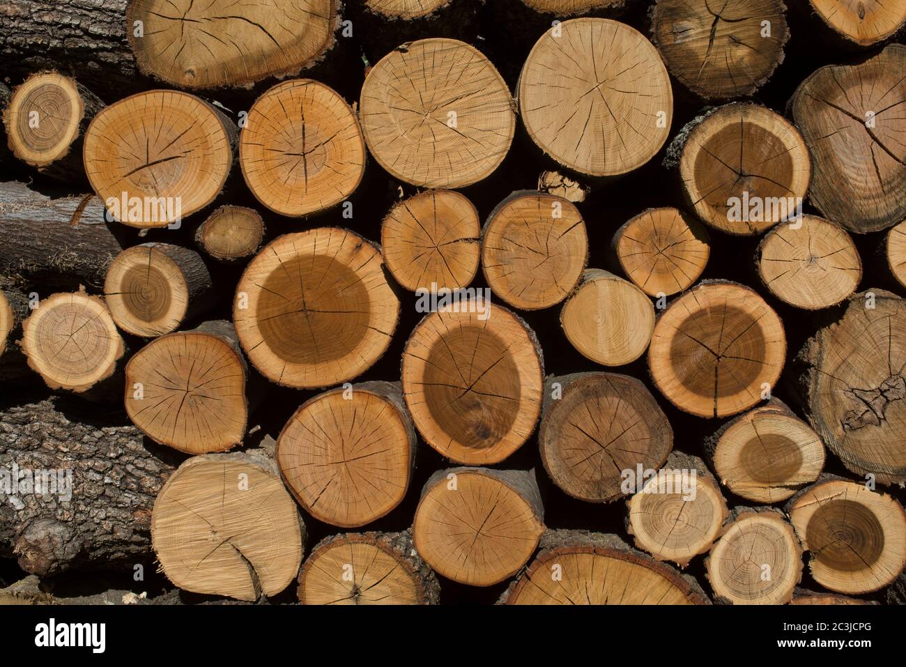 Pile of Wood, Wood Stack,Italy Stock Photo