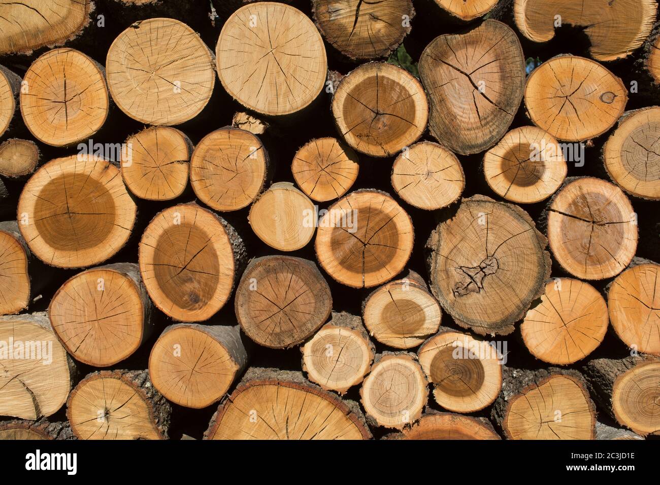 Pile of Wood, Wood Stack,Italy Stock Photo