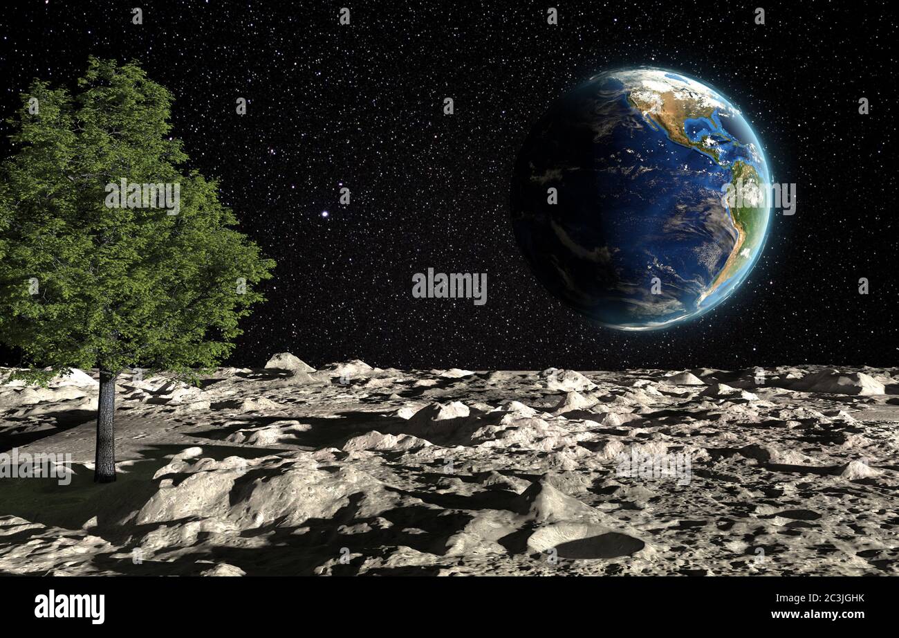 The surface of the moon with a green tree and the planet Earth on a background of the starry sky. Creative conceptual 3D rendering illustration. Fanta Stock Photo