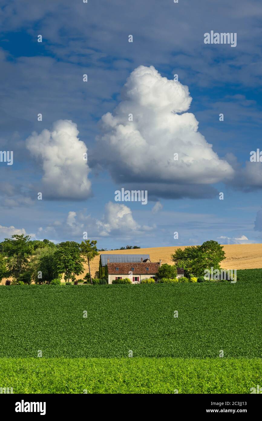 Typical French Touraine landscape and farmland - Boussay, Indre-et-Loire, France. Stock Photo