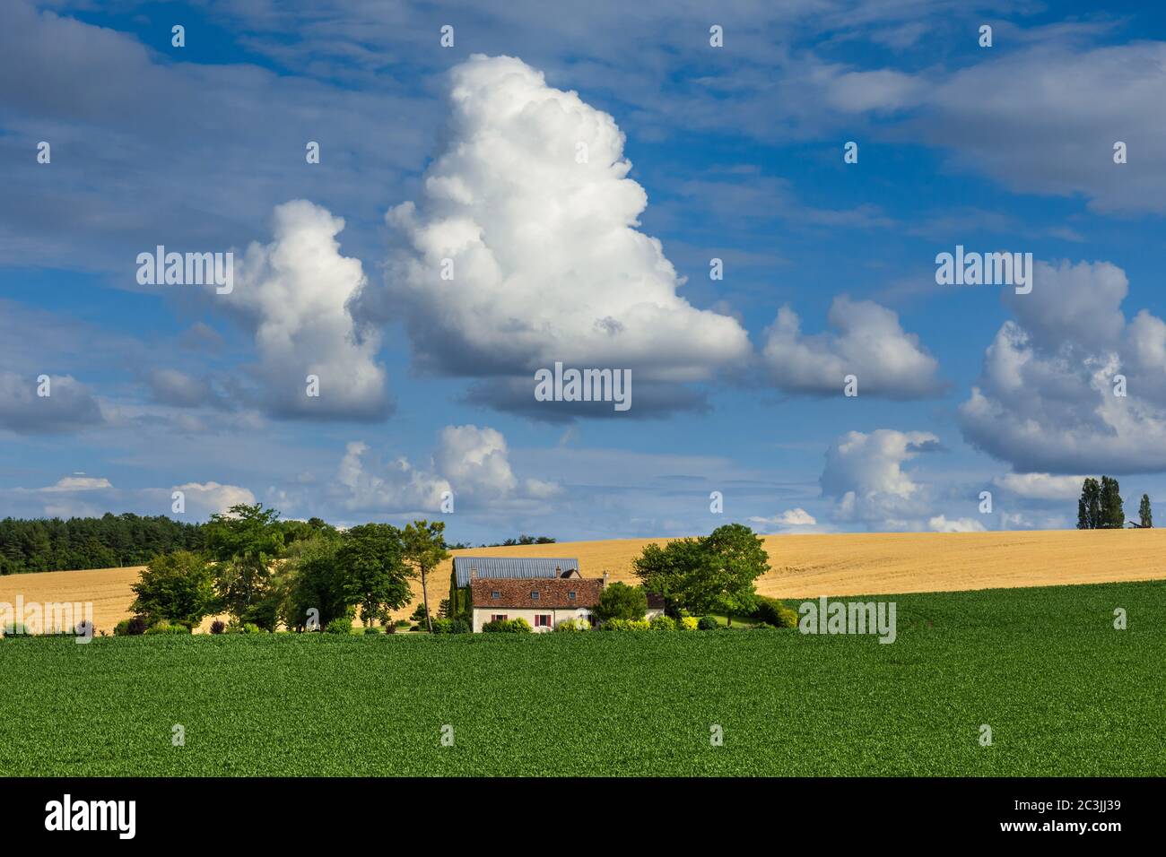 Typical French Touraine landscape and farmland - Boussay, Indre-et-Loire, France. Stock Photo