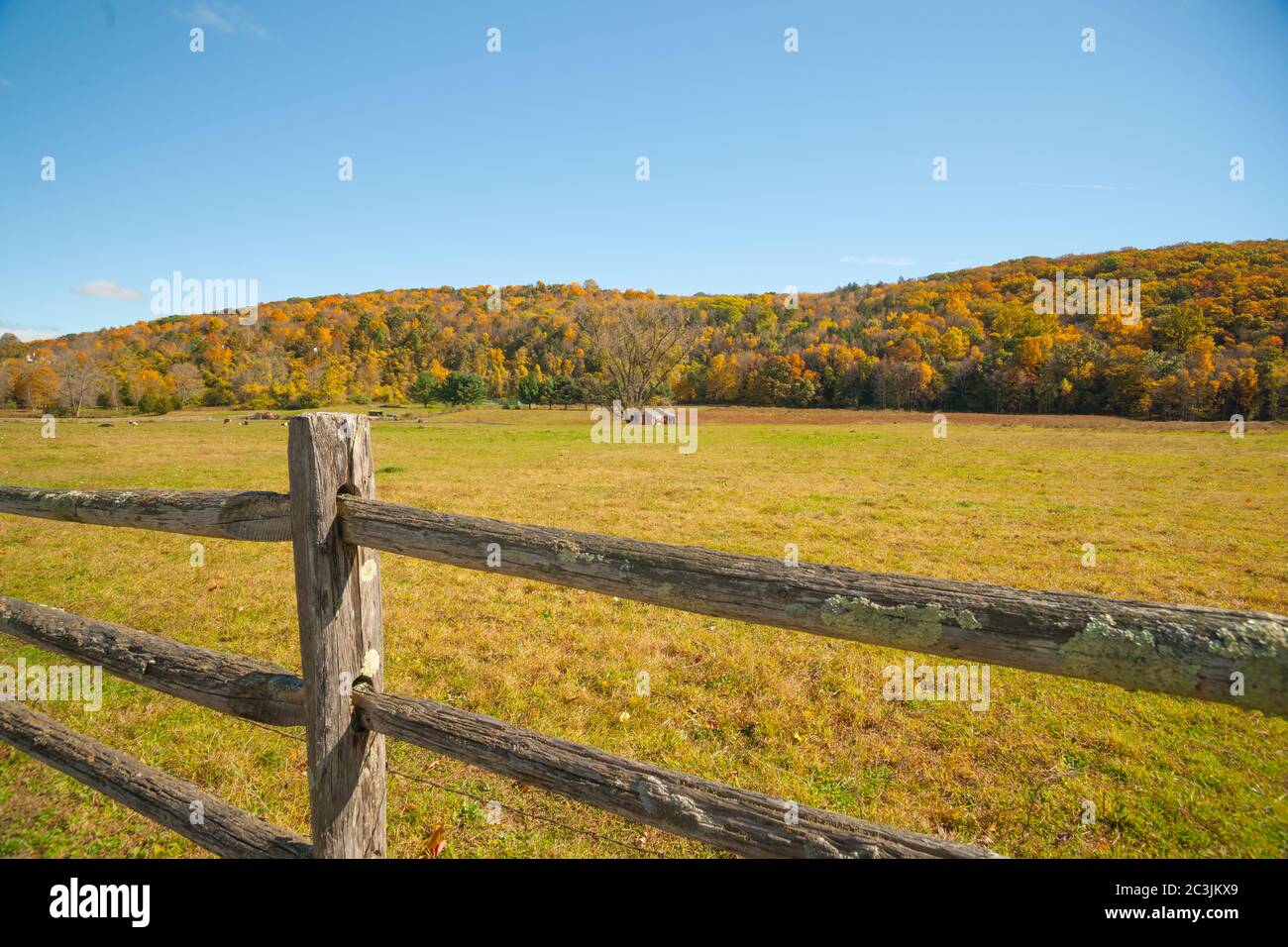 From American country road a rural landscape with farmhouse in distance beyond rustic post and rail fence in Kent county, New England USA. Stock Photo