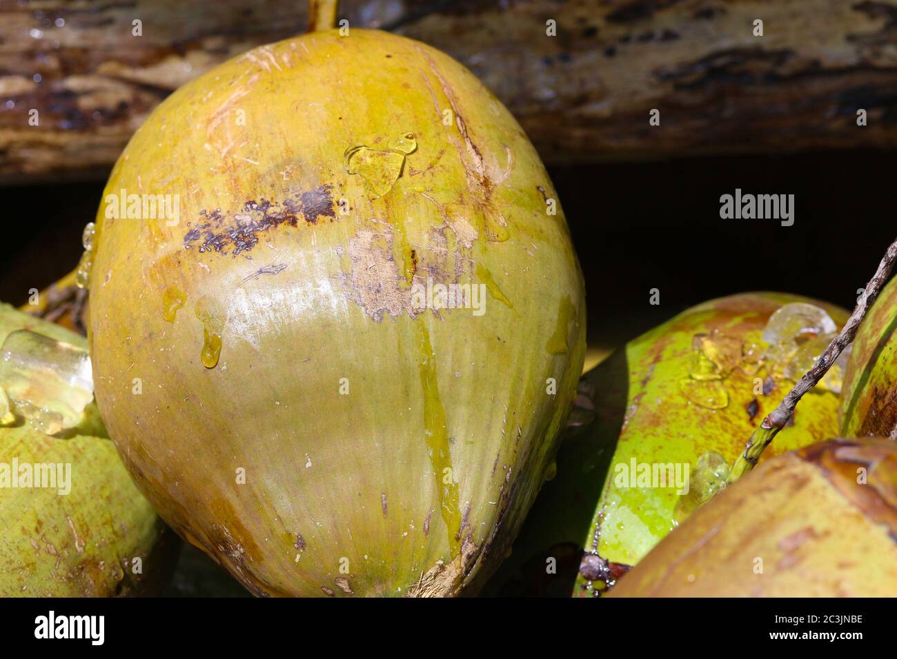 Thai coconuts on ice at street fair Stock Photo Alamy