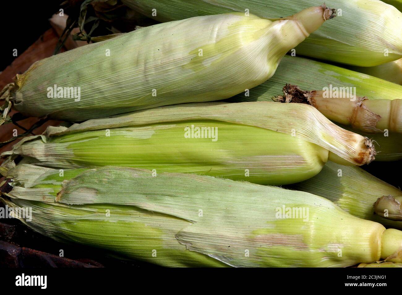 Corn husks pile hires stock photography and images Alamy