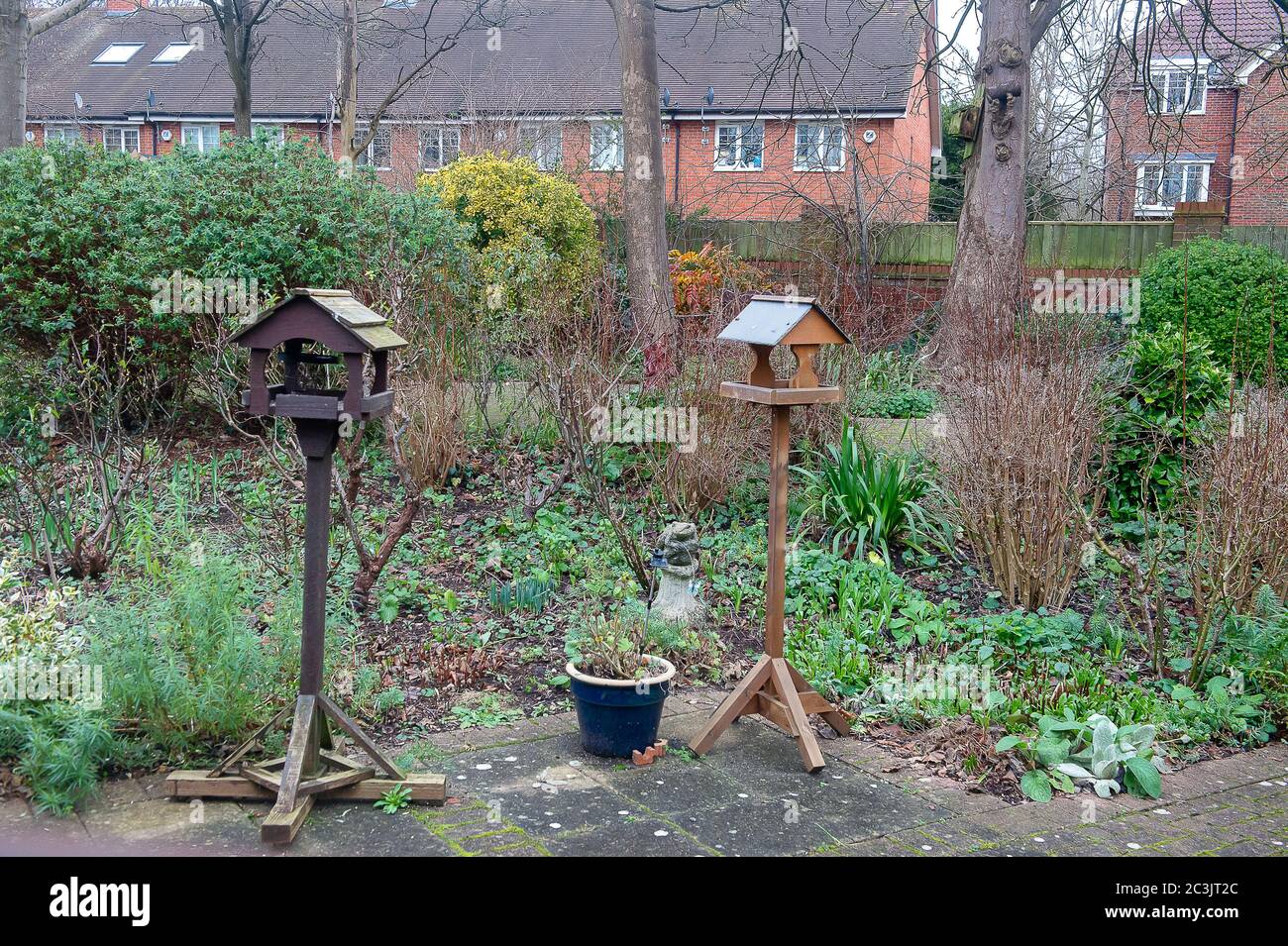 Reading, Berkshire, UK. 23rd January, 2020. The Sue Ryder Duchess of