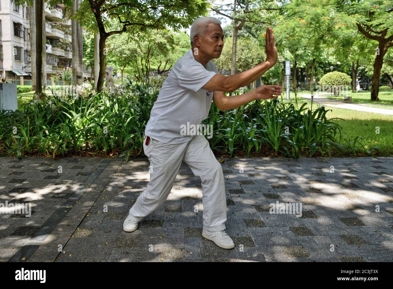 FOSHAN, CHINA CIRCA JUNE 2020 A Chinese Kungfu Grandmaster shows