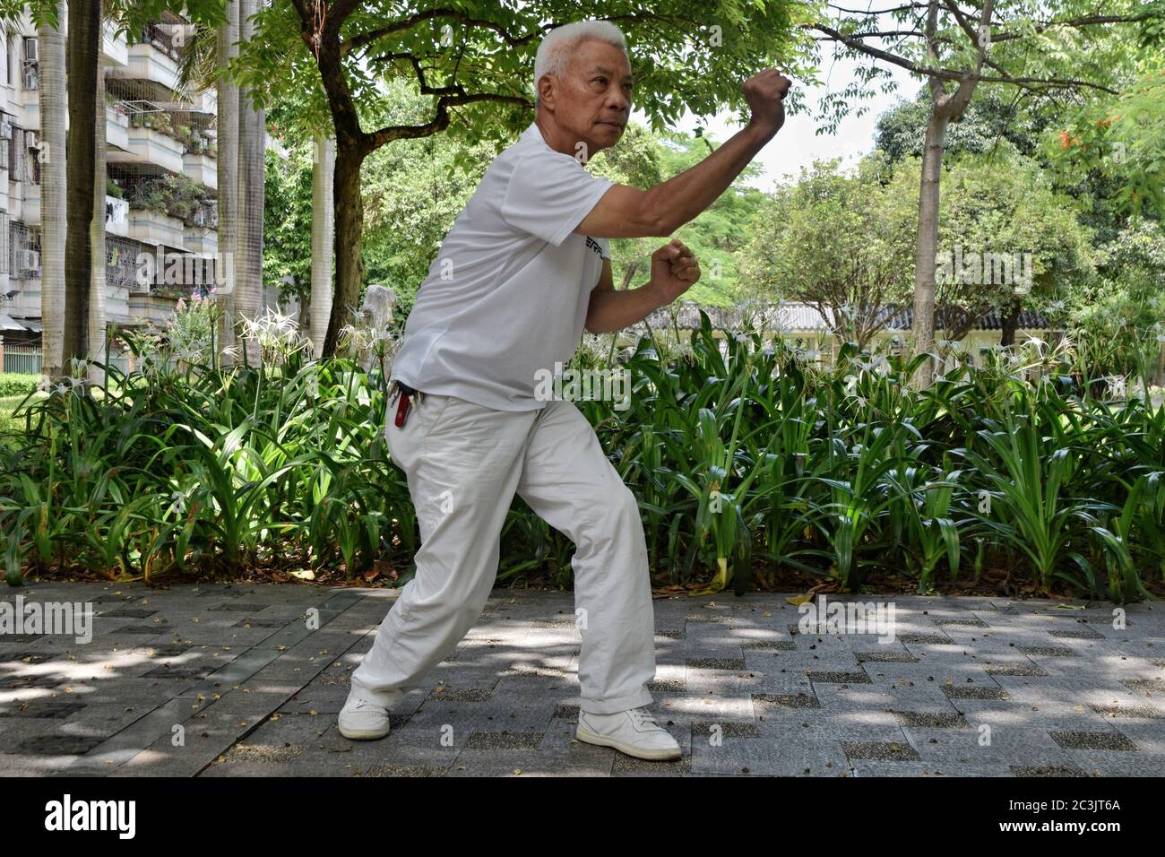 320 China Grandmaster Stock Photos, High-Res Pictures, and Images - Getty  Images