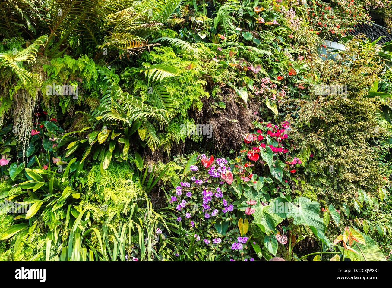 Vertical garden with tropical green leaf and flowers. Nature background ...