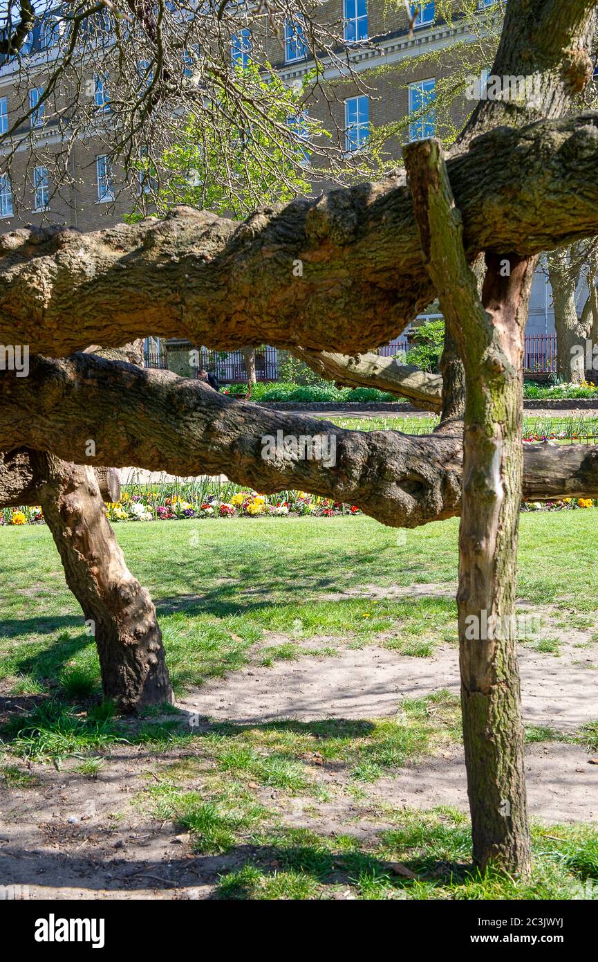 Reading, Berkshire, UK. 23rd April, 2015. Public Park Forbury Gardens