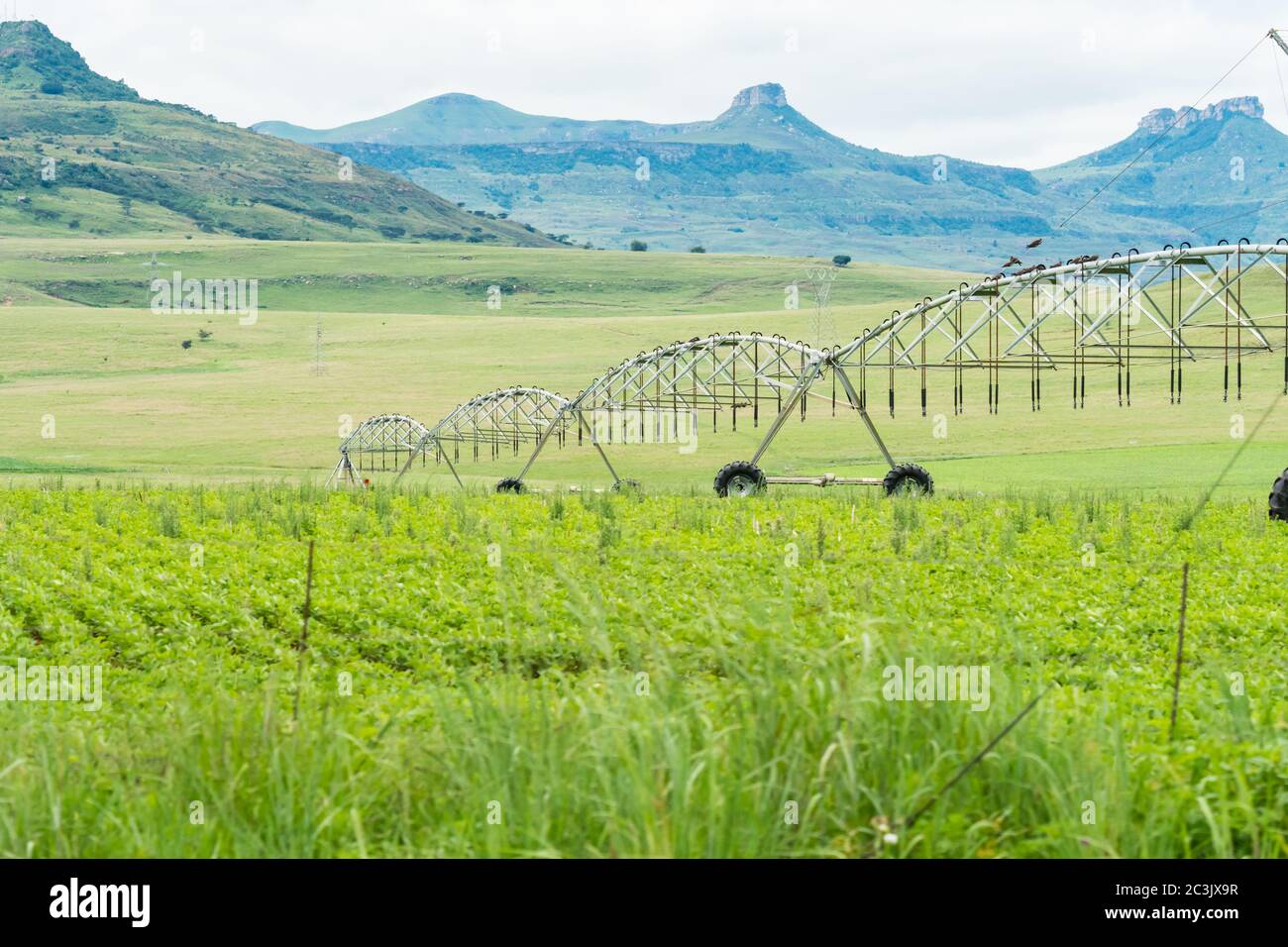 Irrigation system africa hires stock photography and images Alamy