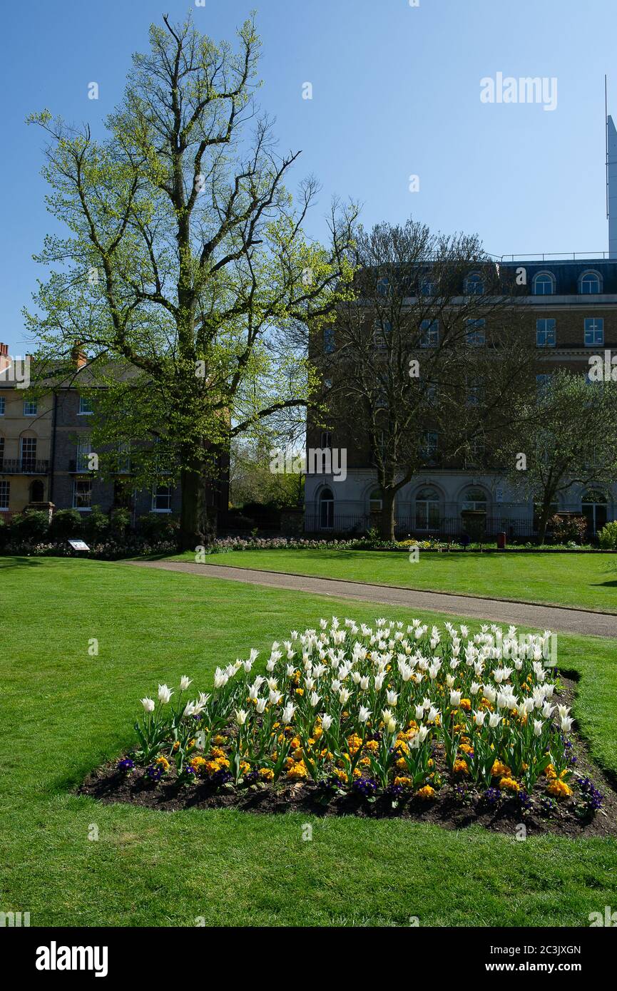 Reading, Berkshire, UK. 23rd April, 2015. Public Park Forbury Gardens