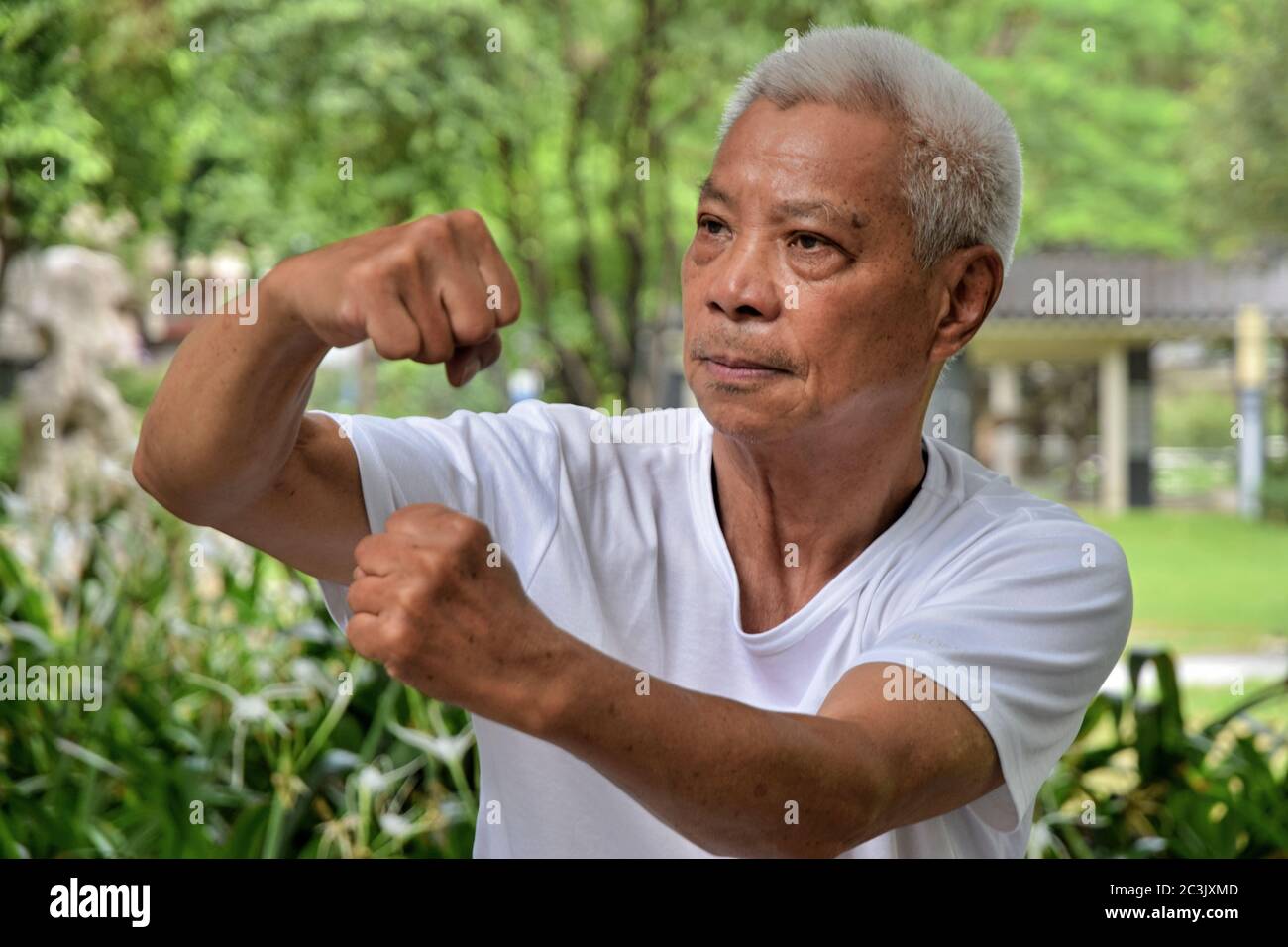 FOSHAN, CHINA CIRCA JUNE 2020 A Chinese Kungfu Grandmaster shows