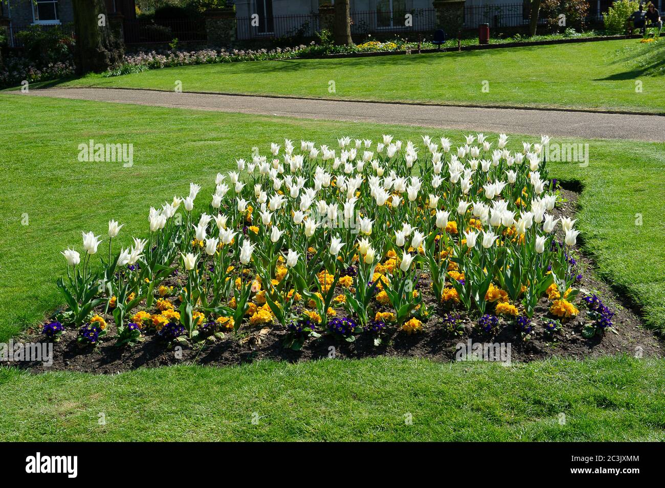 Reading, Berkshire, UK. 23rd April, 2015. Public Park Forbury Gardens in Reading Town Centre, Reading, Berkshire next to Reading Crown Court. Credit: Maureen McLean/Alamy Stock Photo