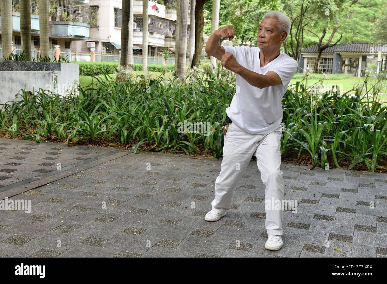 320 China Grandmaster Stock Photos, High-Res Pictures, and Images - Getty  Images