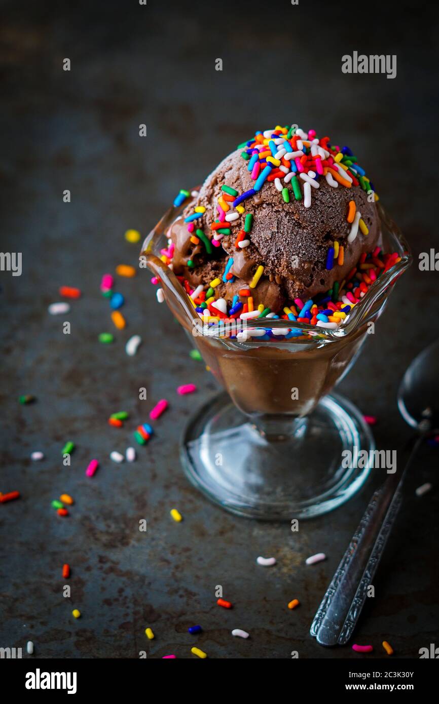 Homemade chocolate ice cream with sprinkles Stock Photo Alamy