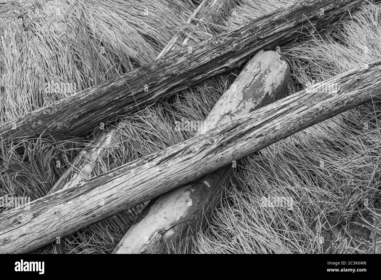 Driftwood feature Black and White Stock Photos & Images - Alamy