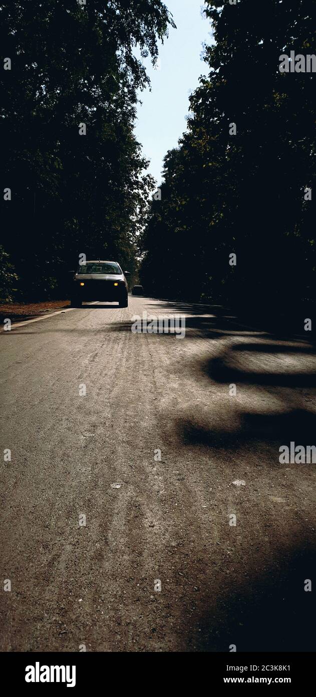 Vertical shot of a road surrounded by trees with cars during daytime ...
