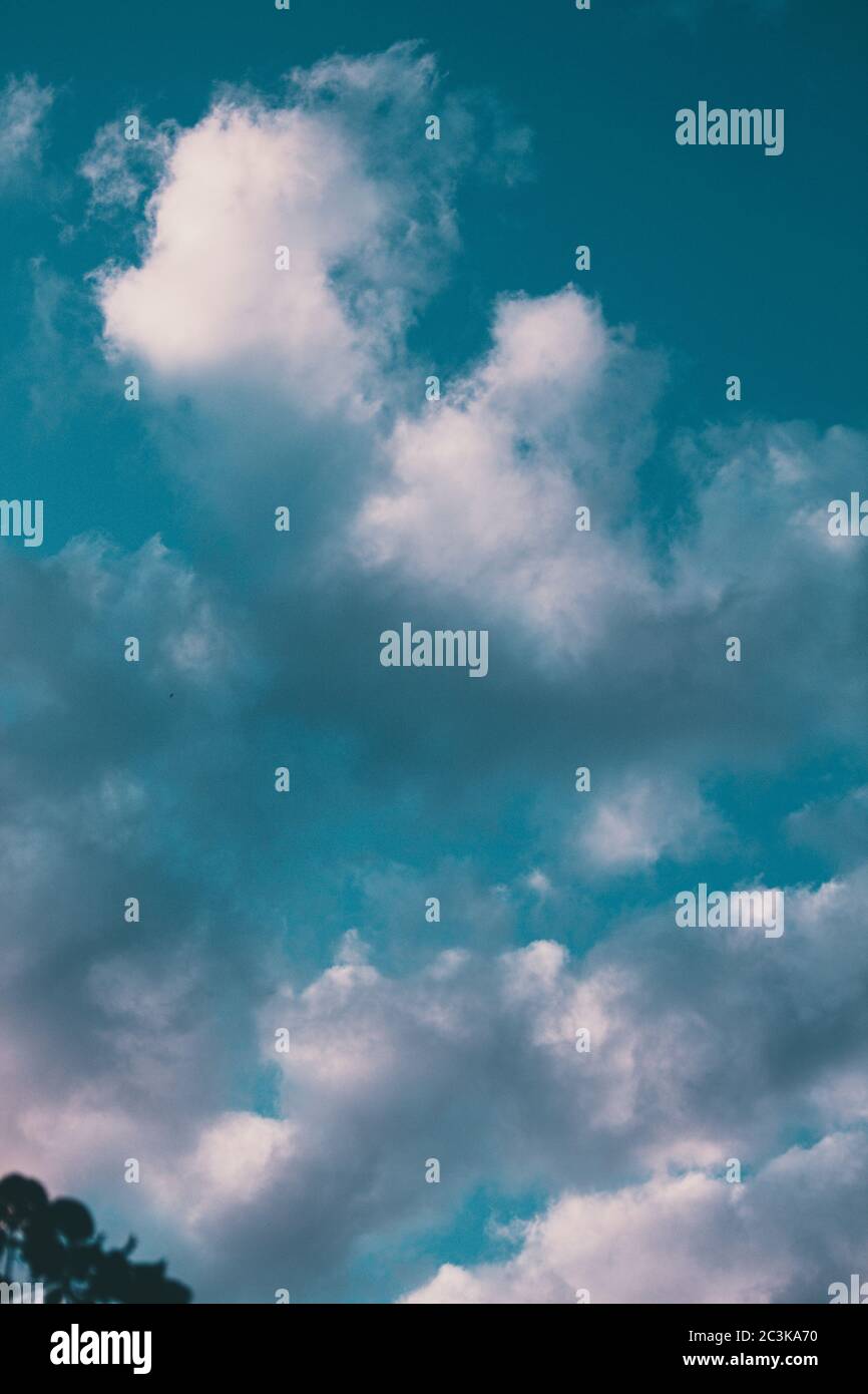 Vertical low angle shot of the magnificent fluffy clouds in the blue ...